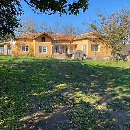 Ferienhaus Primorska Sunshine In Strandnaehe Shabla Eksteriør bilde